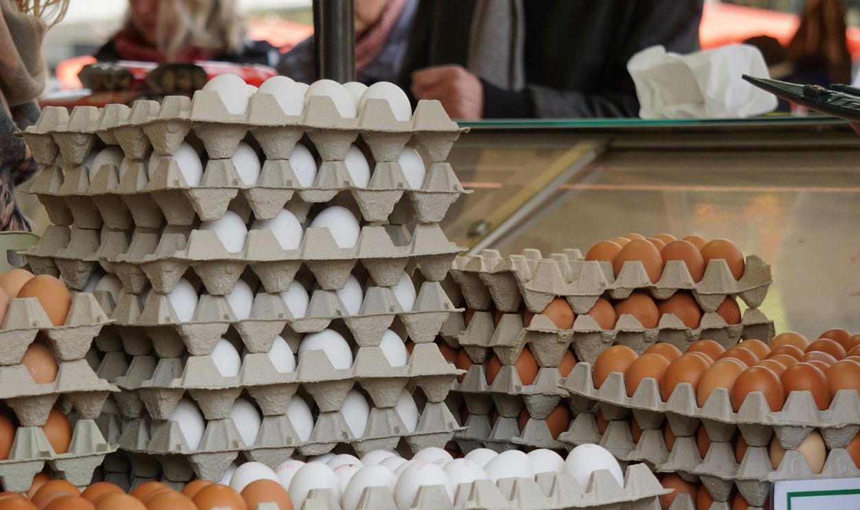 Eggs