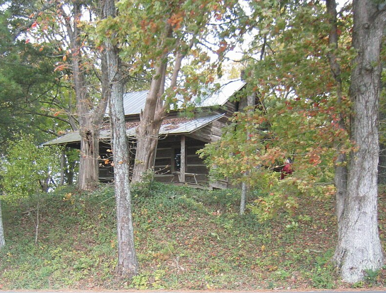 A View Through The Trees Of The Hair Conrad Cabin In Bradley County, Tennessee