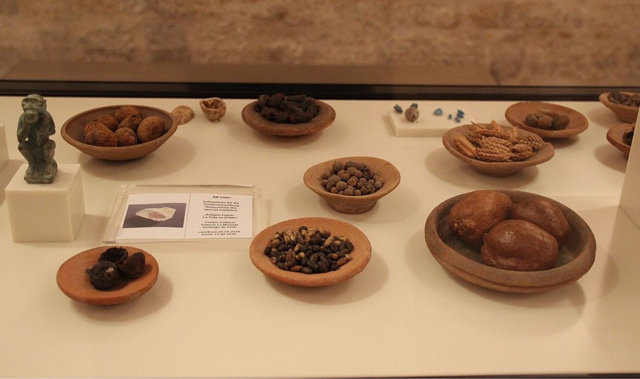 Ancient Egypt Food