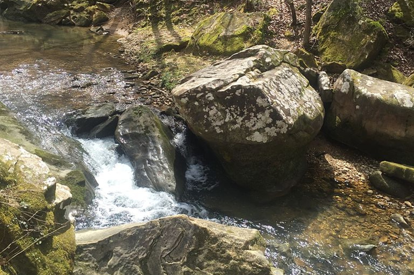 Cane Creek Canyon Nature Preserve in Colbert County, Alabama - 2016