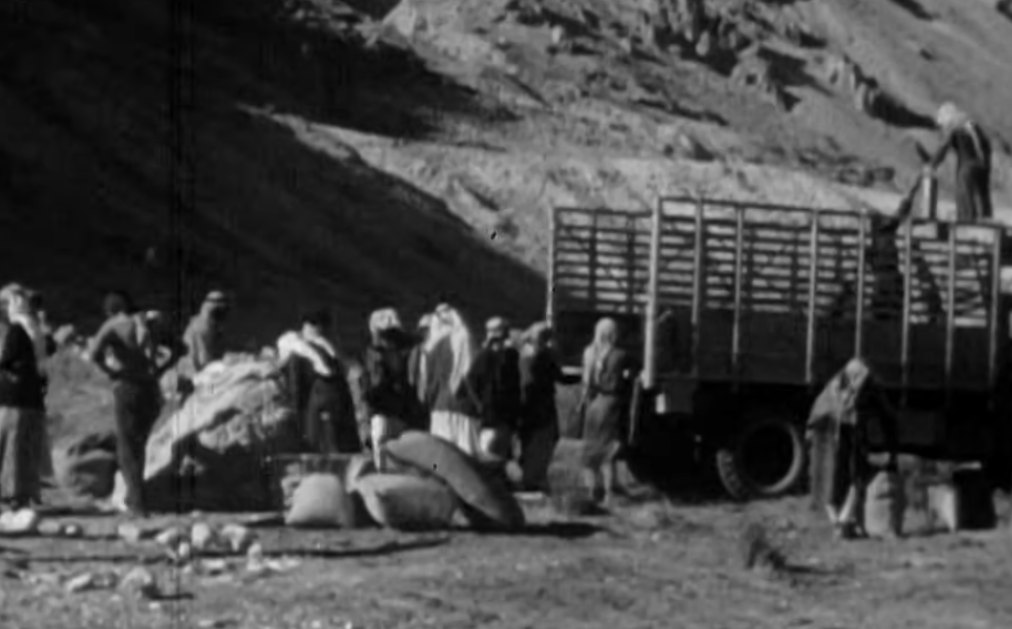 Archeologist on excavation site