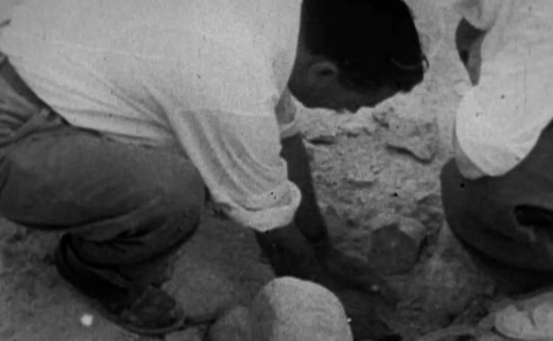 Archeologists on excavation site