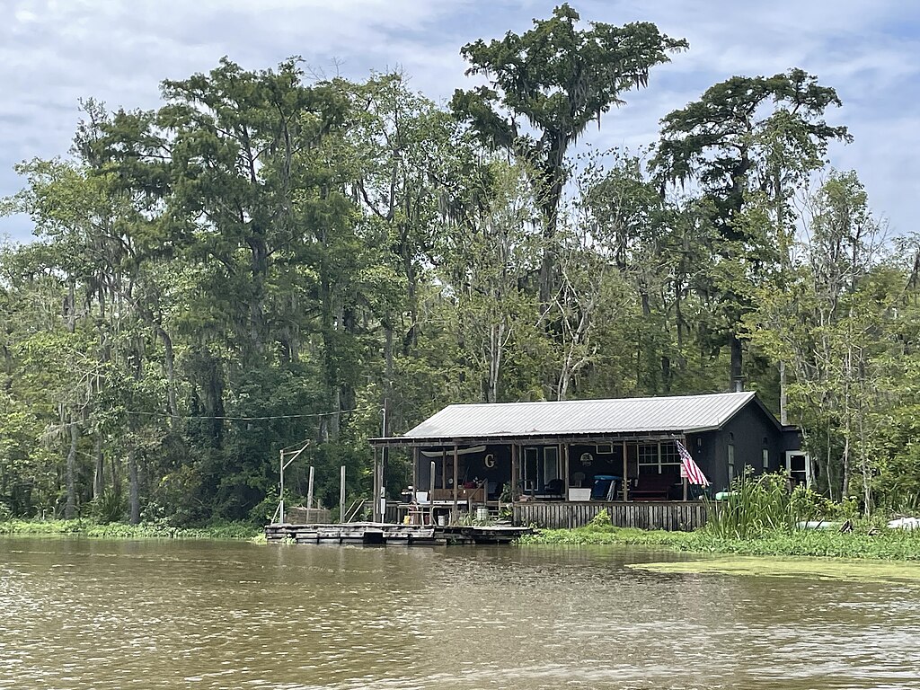 Honey Island Swamp Tour, Louisiana July 2023