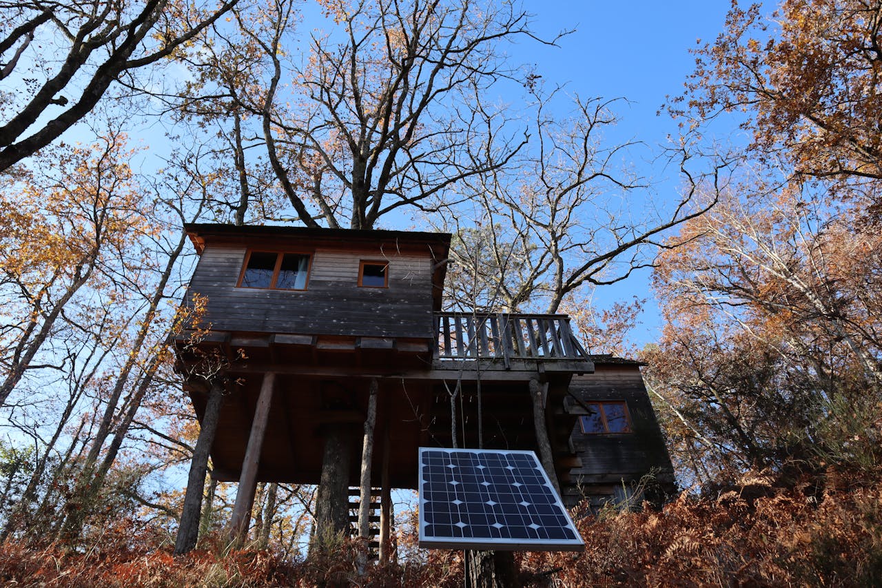 Low Angle Shot of Wooden House Under the Tree