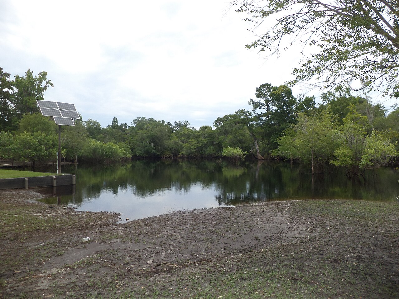Solar Panels Next To Suwannee River, Fargo