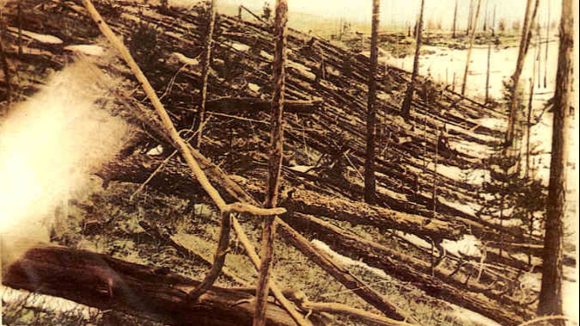 File:Tunguska Ereignis.jpg