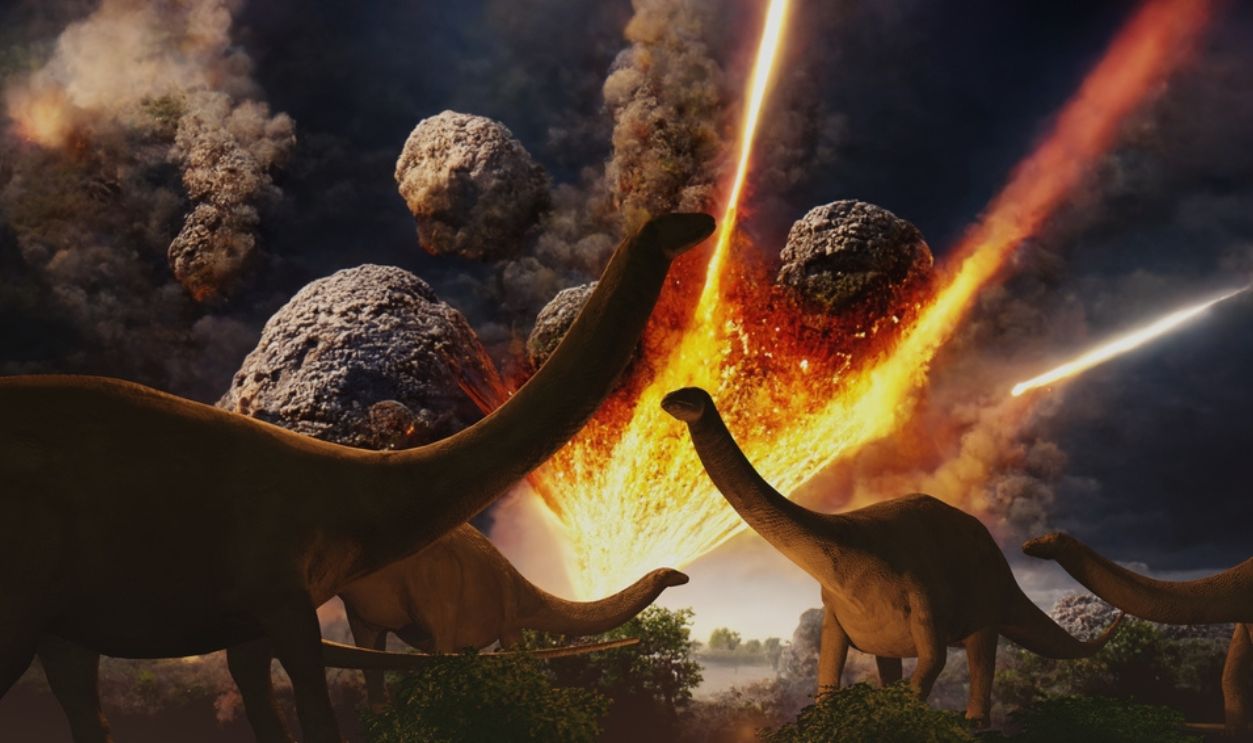 Chicxulub impactor