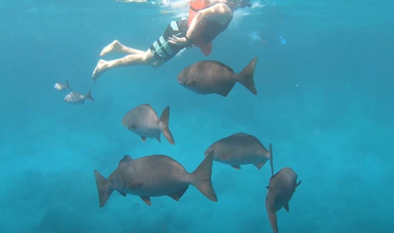 Great Blue Hole, Belize