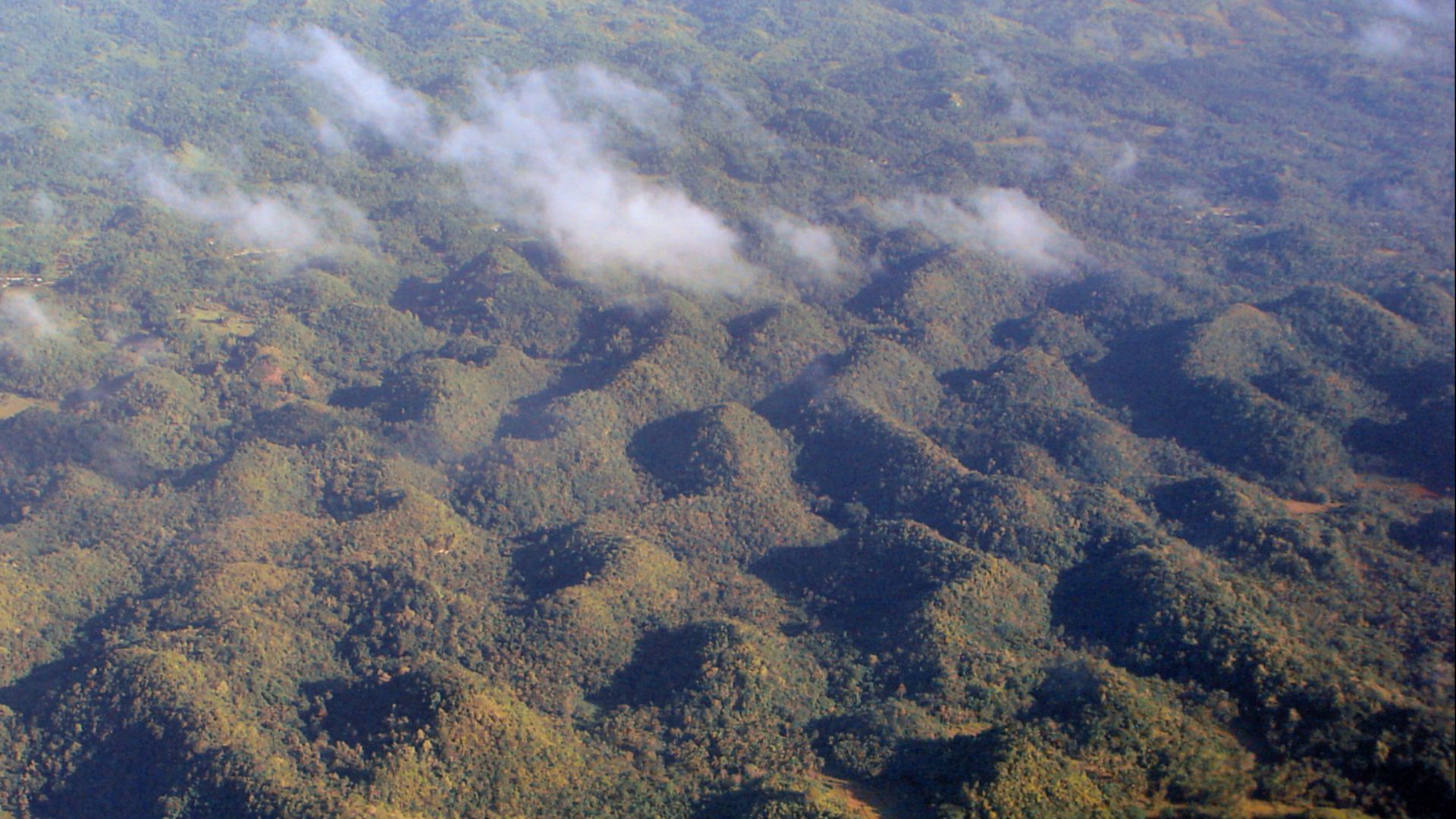 File:Chocolate Hills Bohol.JPG