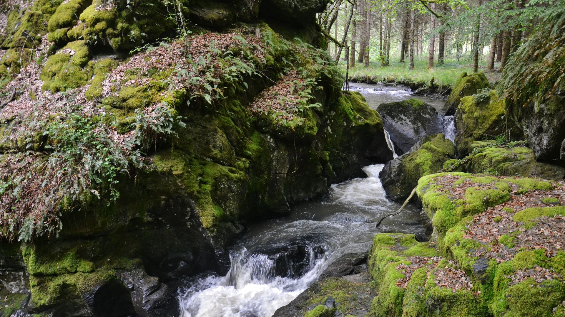 File:Le Rujoux à Pierrefitte.JPG