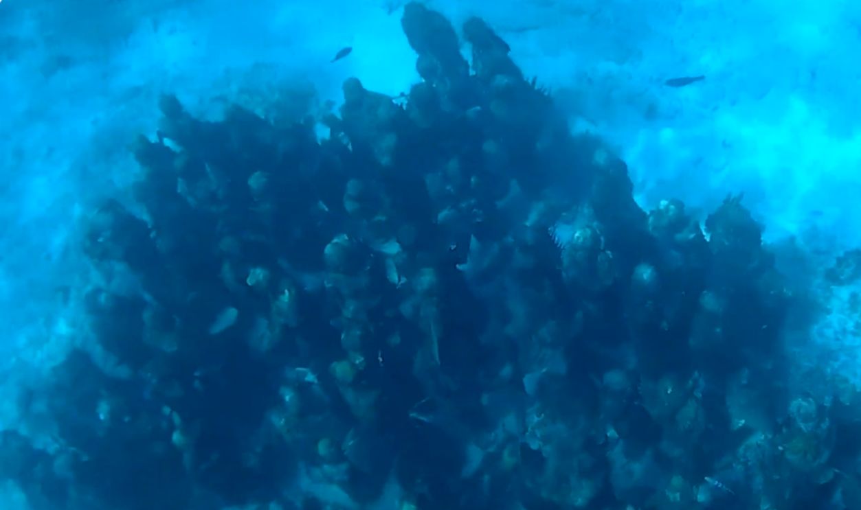 Isla Mujeres Underwater Museum, Mexico