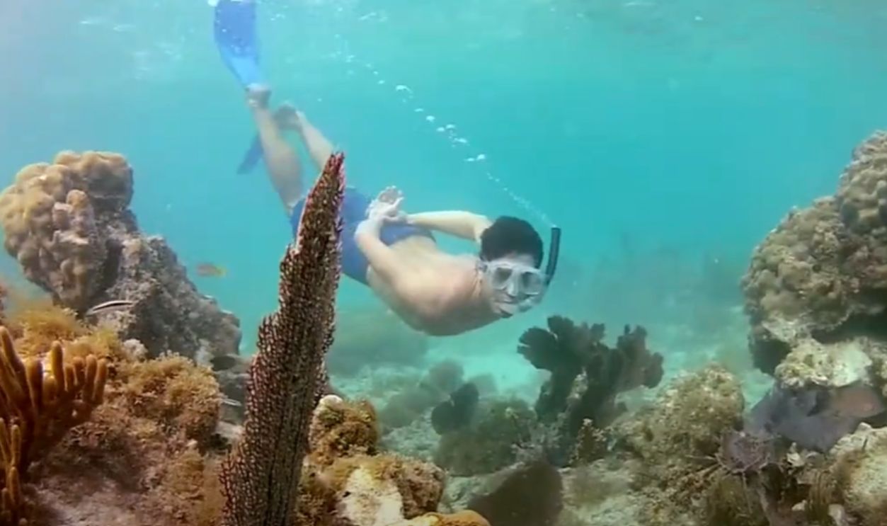 Dry Tortugas National Park, Florida, USA