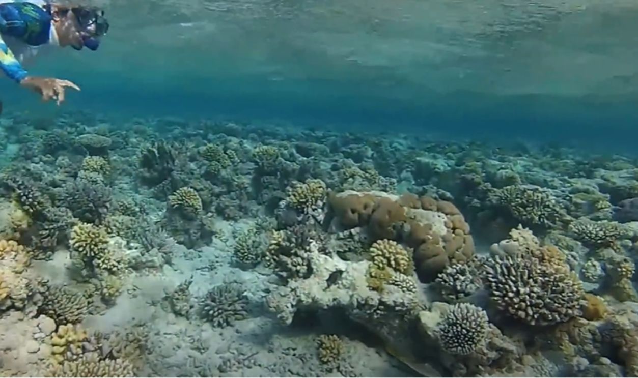 Ras Mohammed National Park, Egypt