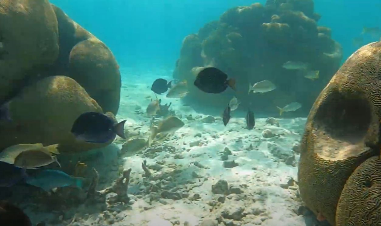 Los Roques, Venezuela