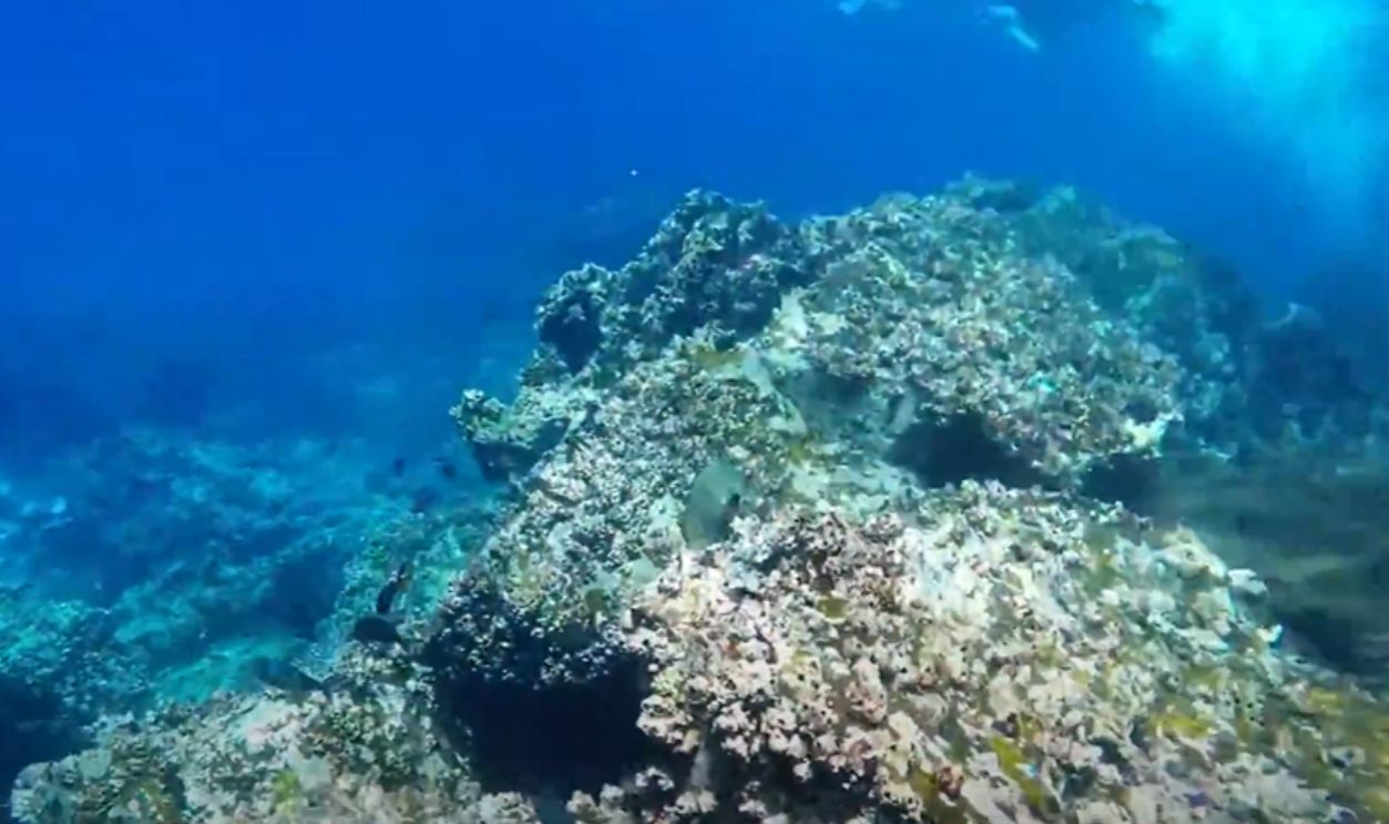 Devil’s Crown, Galapagos, Ecuador