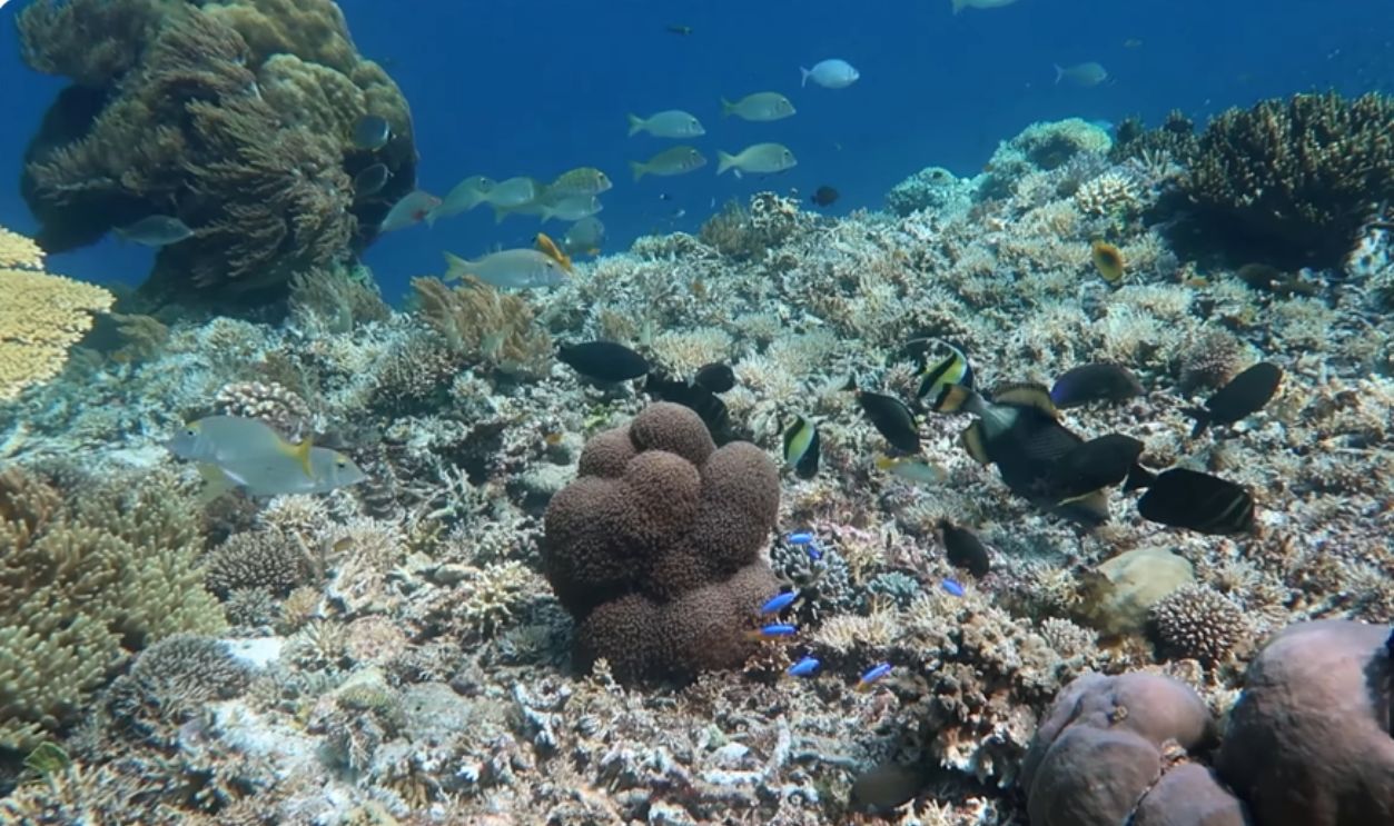 Raja Ampat, Indonesia