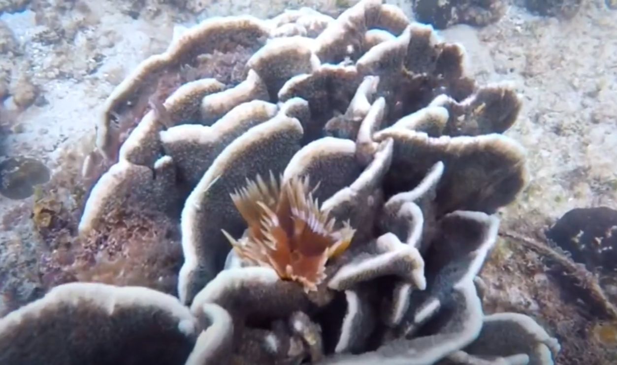 Palawan, Philippines