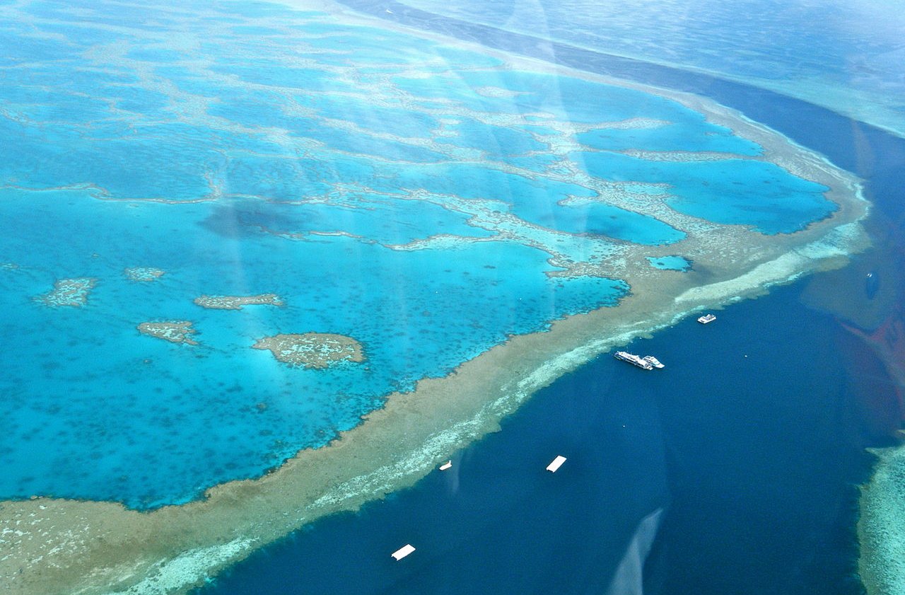 Helicopter ride over the Great Barrier Reef