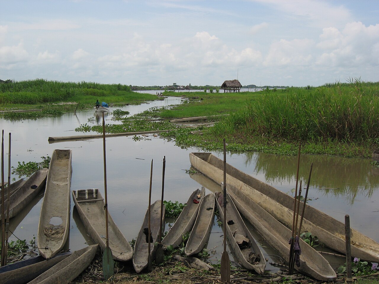 Papua New Guinea tribe boats