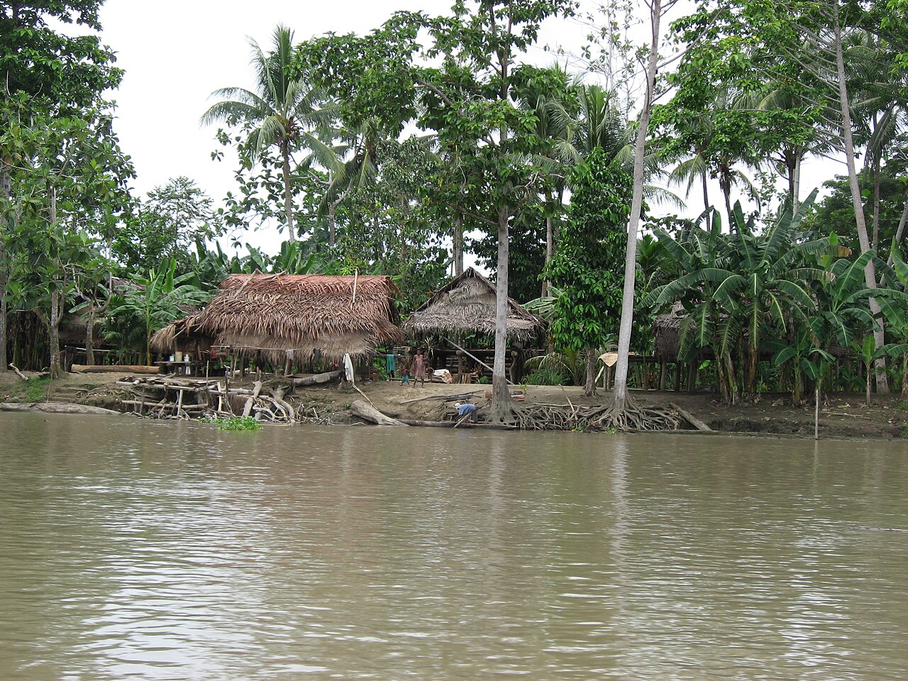 Papua New Guinea tribe