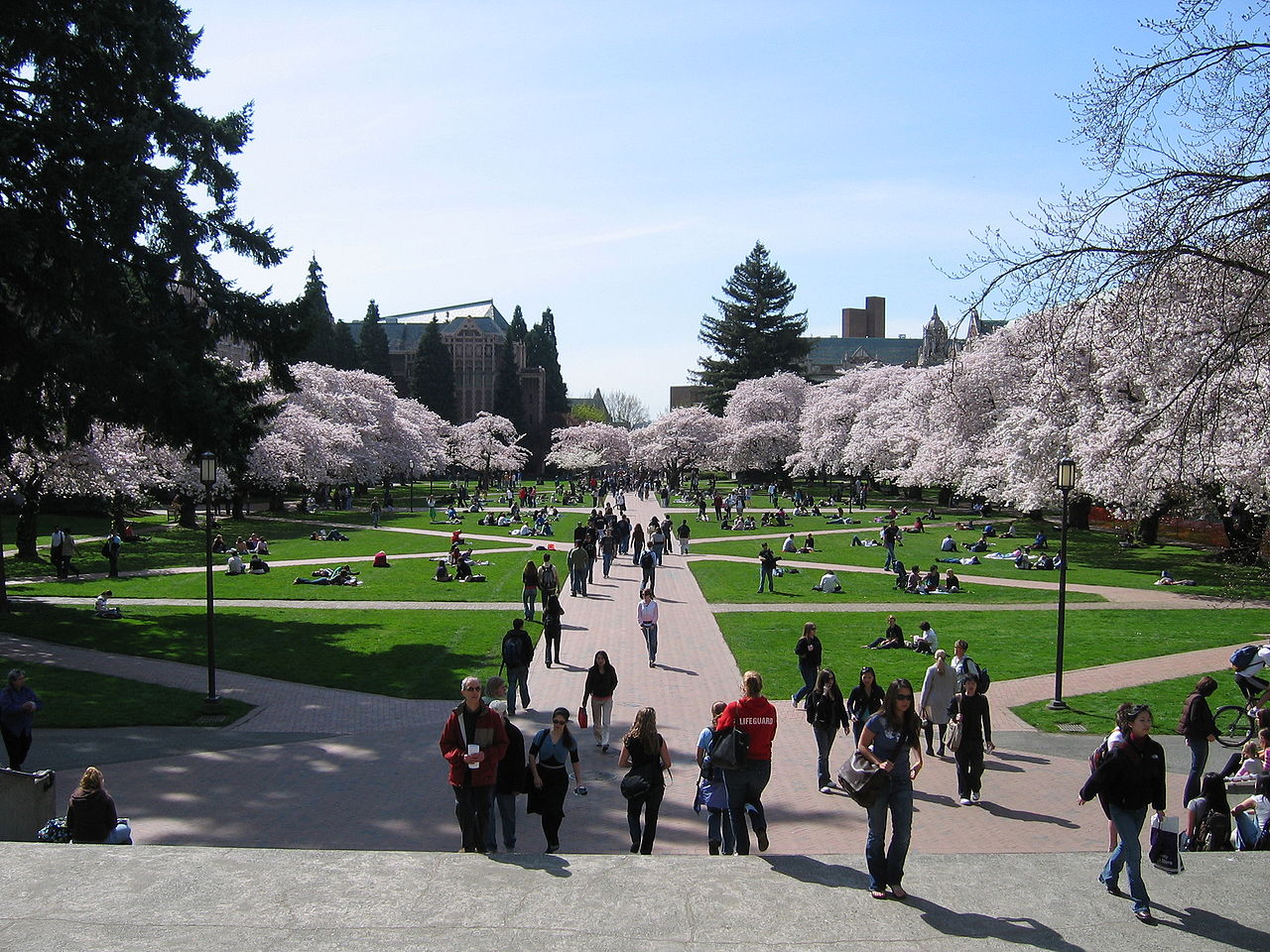 University of Washington quad in Spring