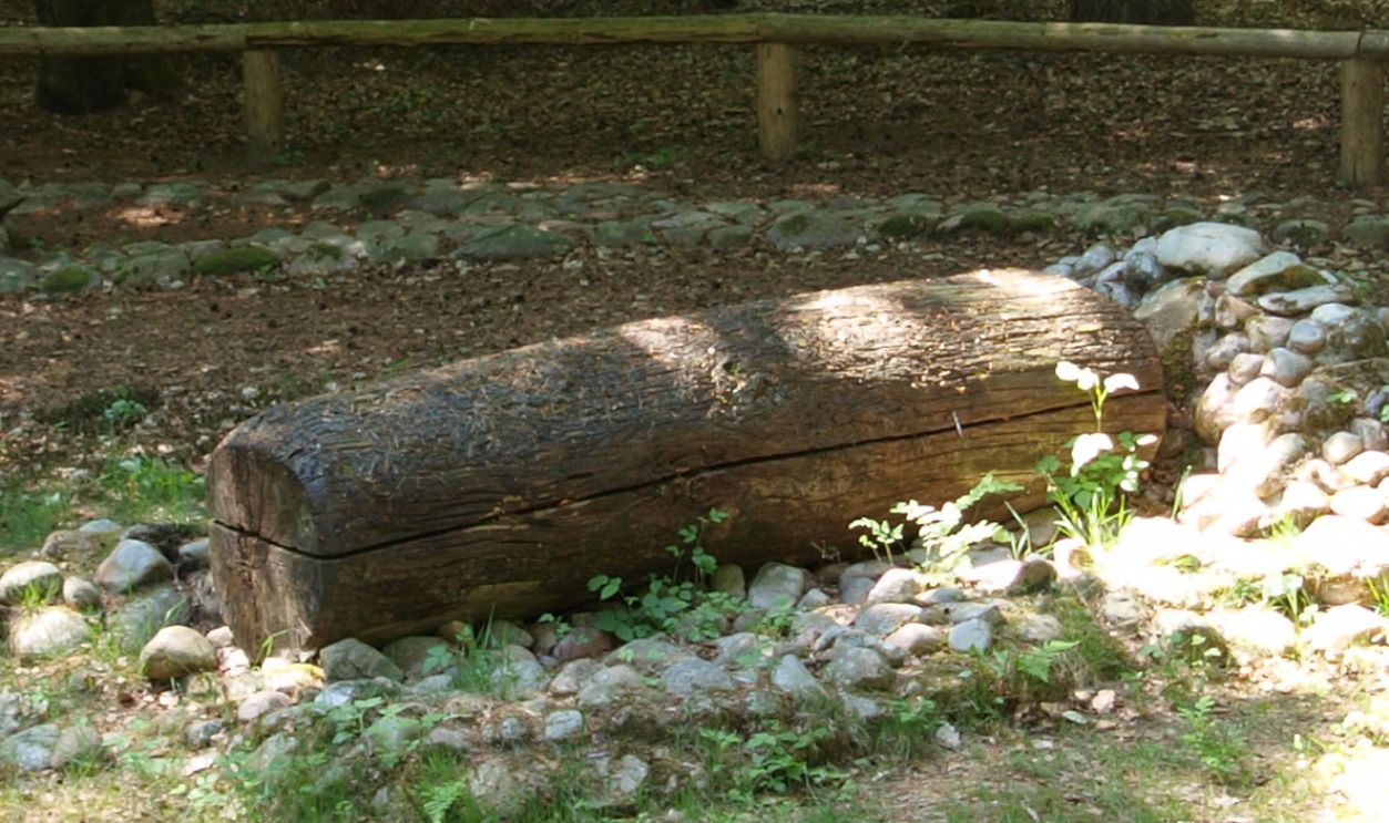 Bronze Age Log Coffin Burial