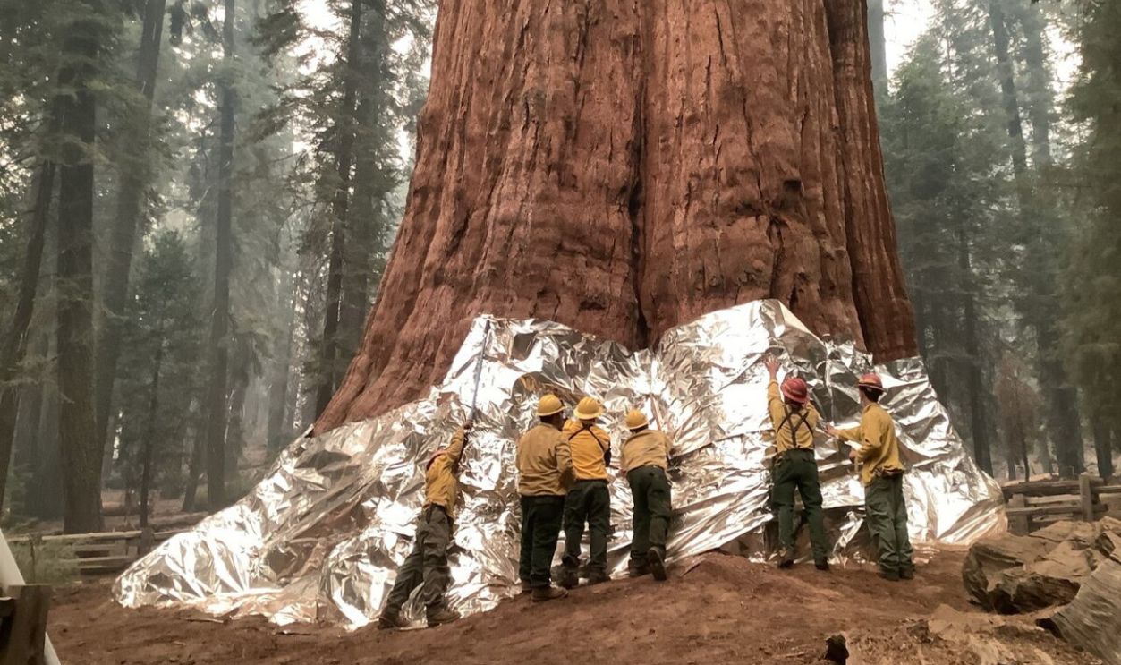 General Sherman With Fire Protection Wrap