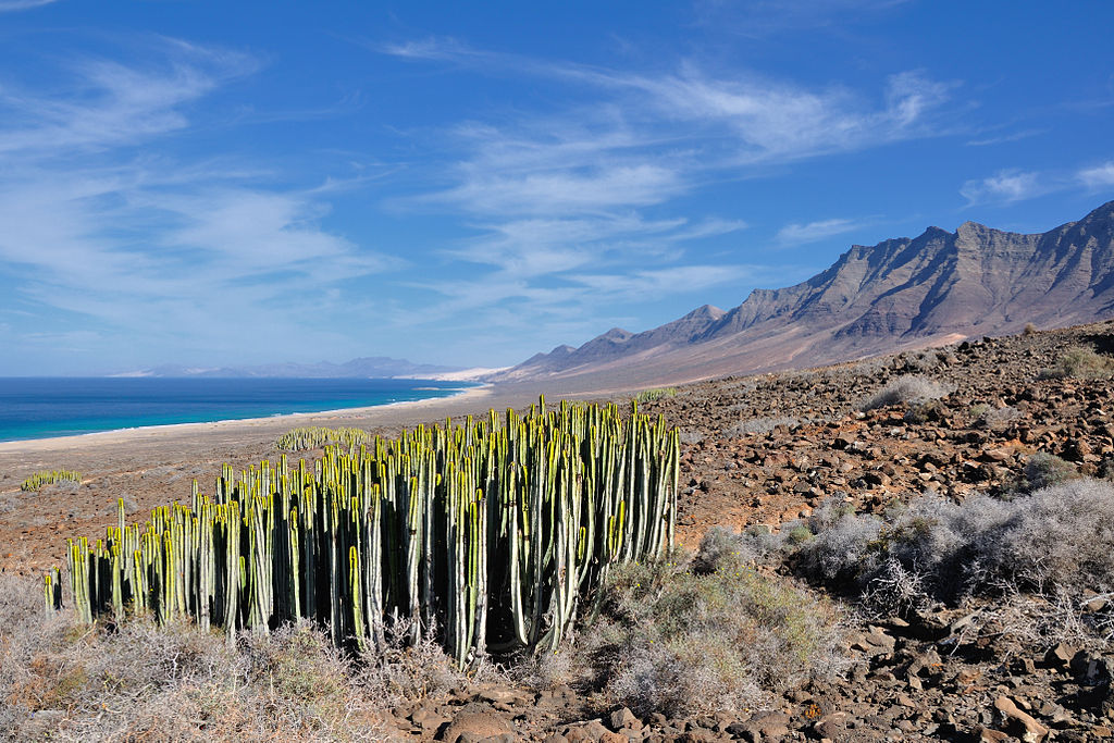  Spain, South West coast near Cofete