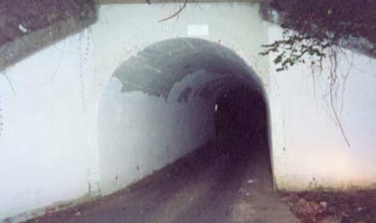 Virginia, The Bunnyman Of Fairfax County