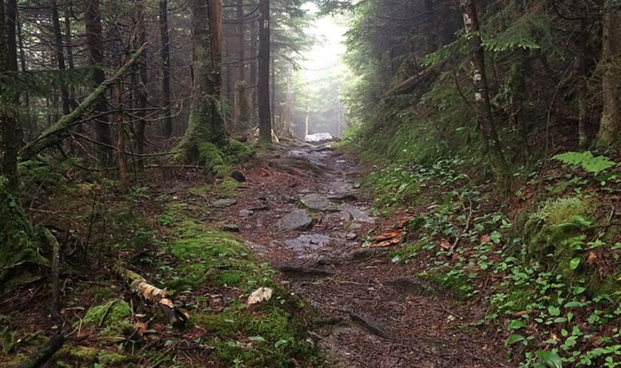 Vermont, The Frozen People Of The Long Trail
