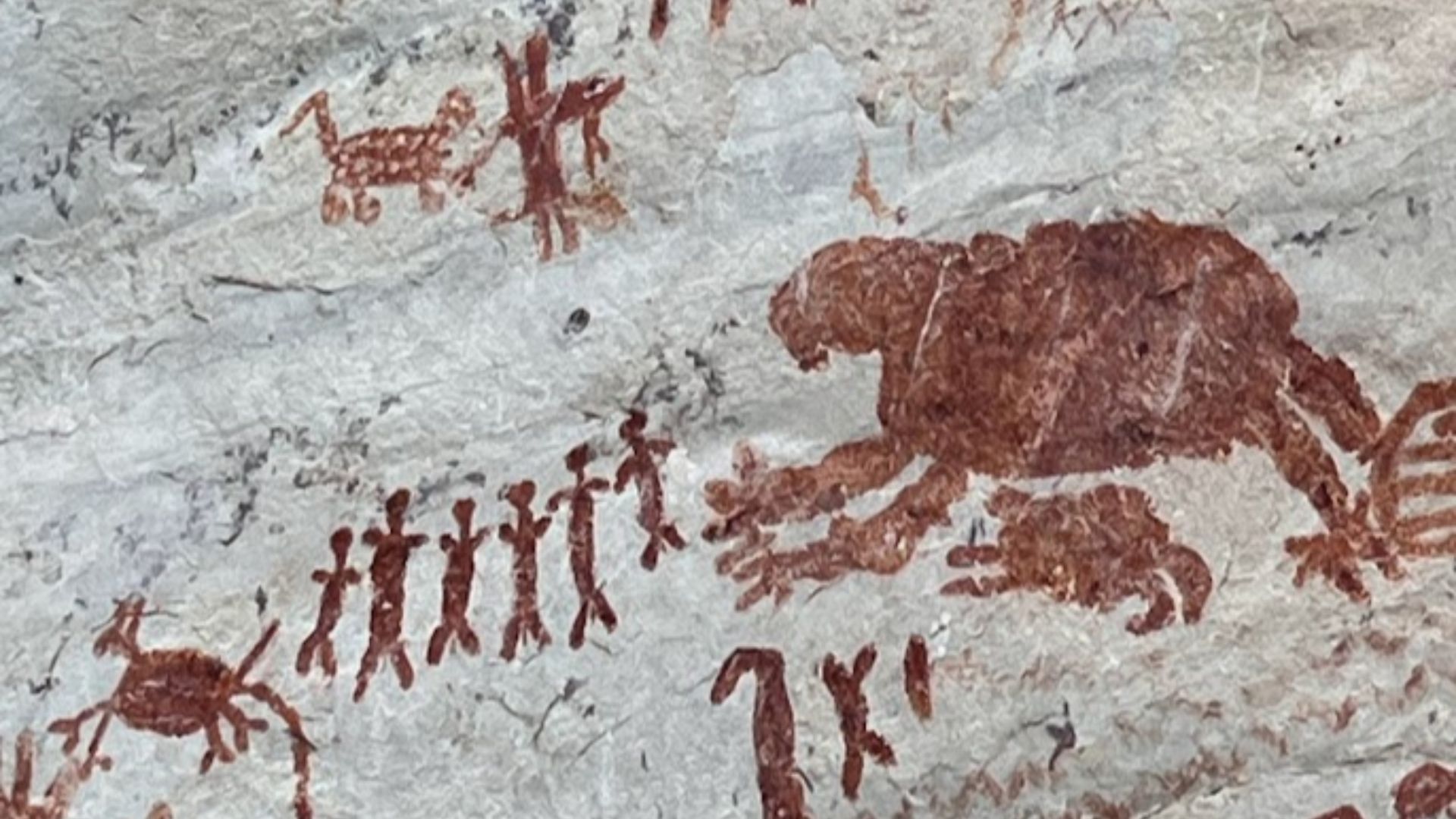 File:Prehistoric animal rock art in Serranía de la Lindosa , cerro azul, guaviare, colombia.jpg