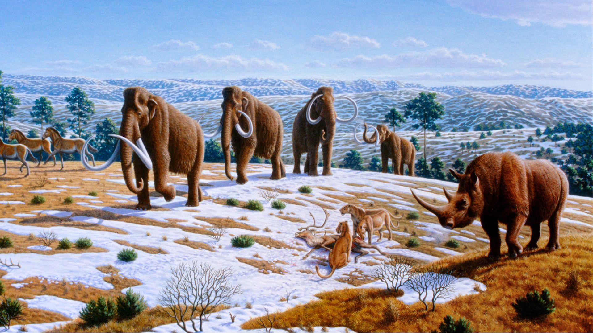 File:Ice age fauna of northern Spain - Mauricio Antón.jpg