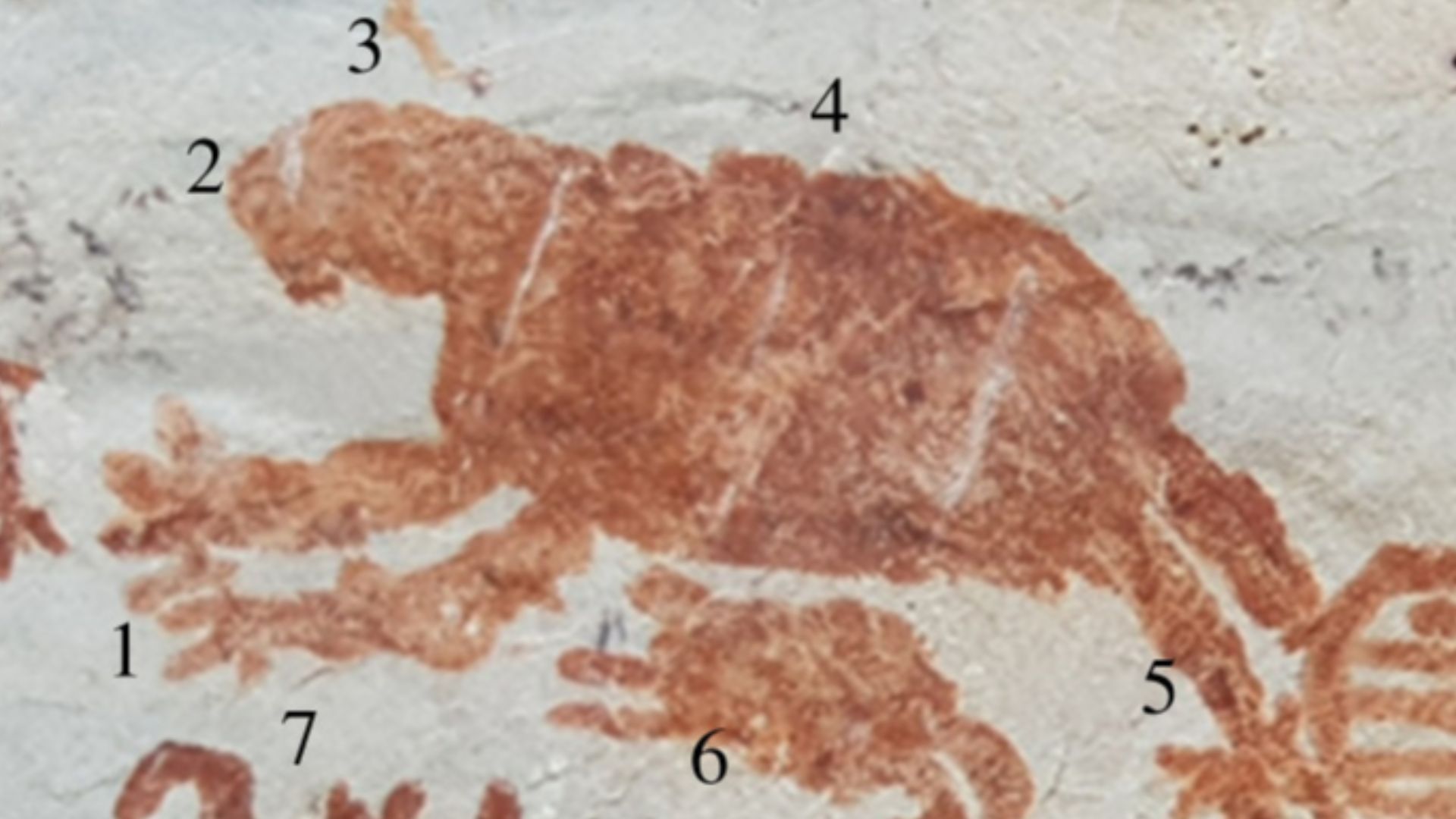 File:Serrania de la Lindosa rock paintings - giant ground sloth - Iriarte et al 2022 (cropped).jpg