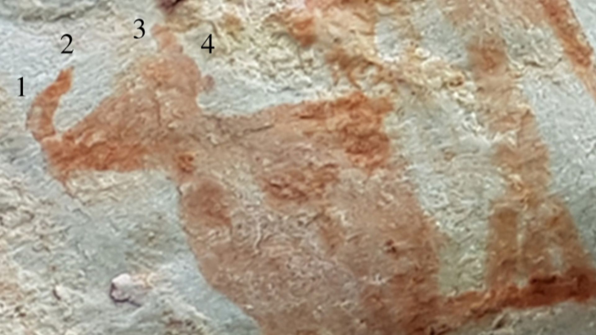 File:Serrania de la Lindosa rock paintings - gomphotheriid - Iriarte et al 2022.jpg