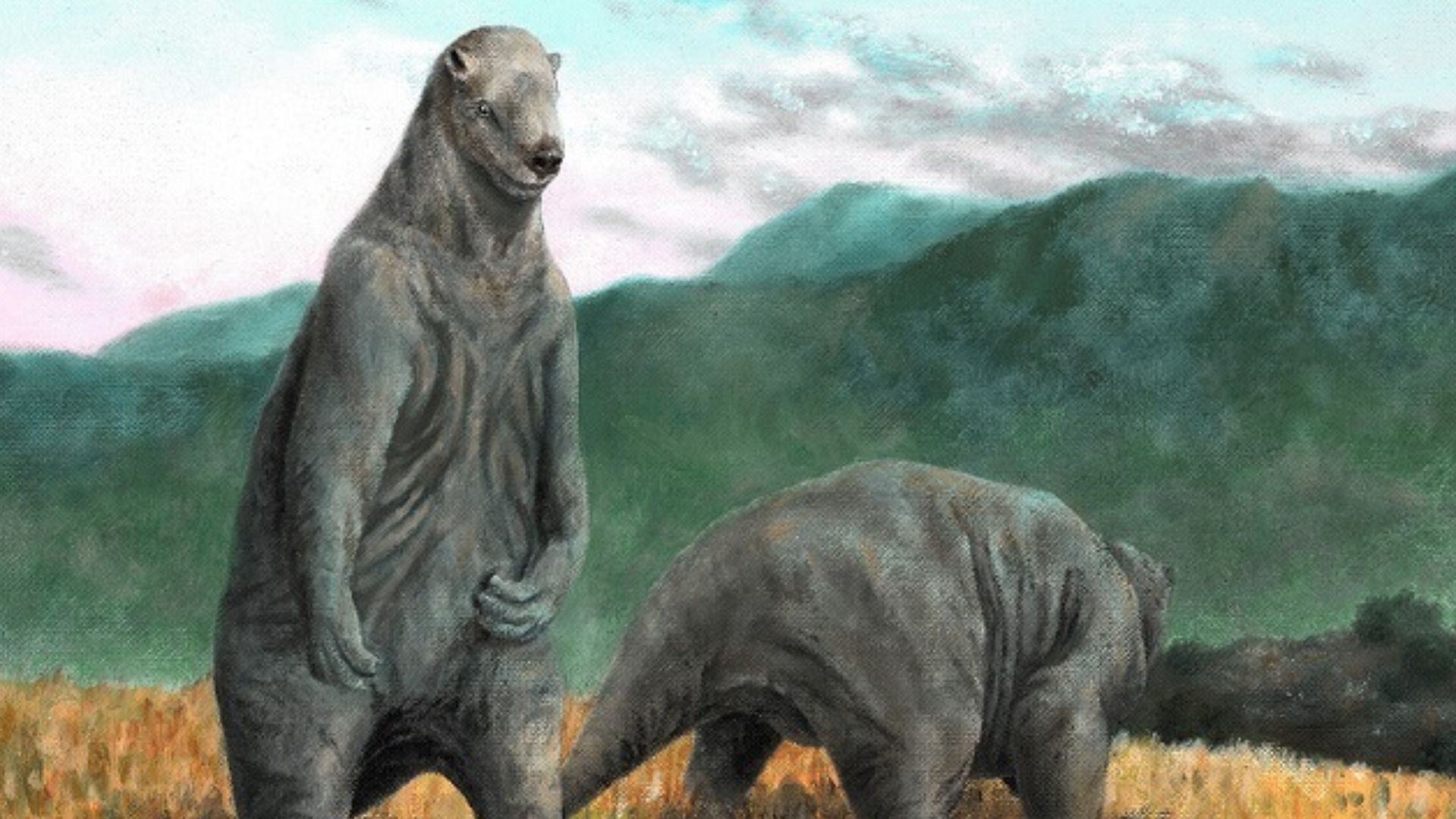 File:Megatherium americanum Marcus Burkhardt.jpg