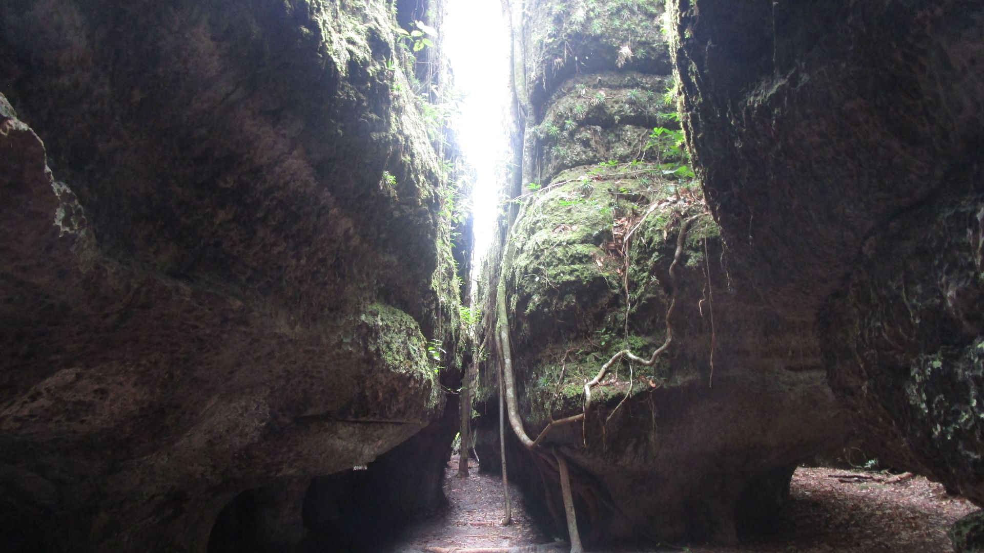 File:Serrania La Lindosa, estribaciones dentro de la serrania.jpg