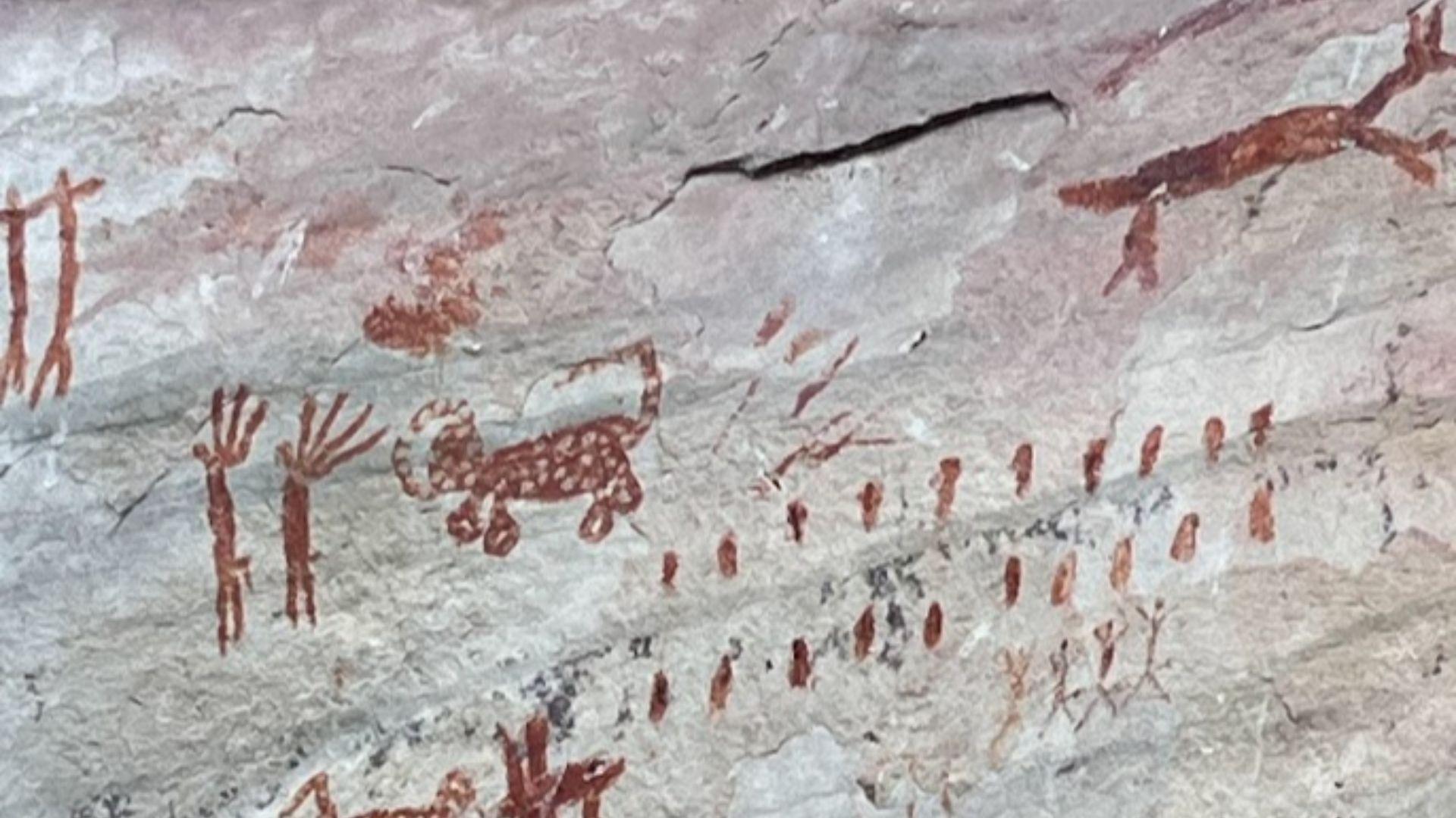 File:Prehistoric animal rock art in Serranía de la Lindosa , cerro azul, guaviare, colombia.jpg