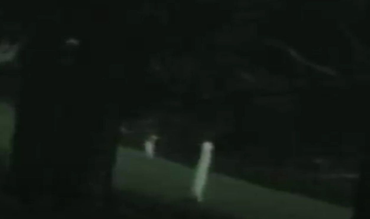 California, The Legend Of The Fresno Nightcrawler 