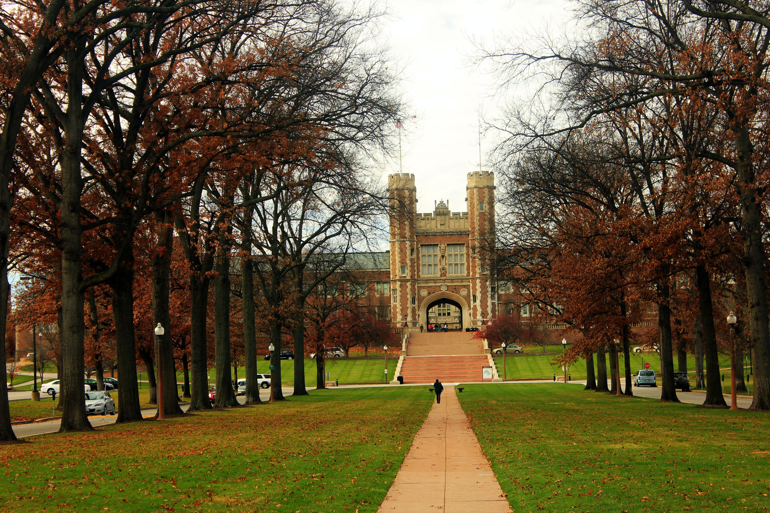Washington University in St. Louis