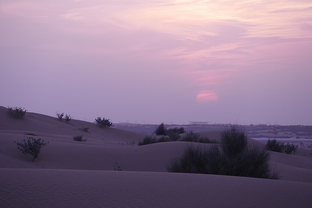 Sunset in Dubai Desert