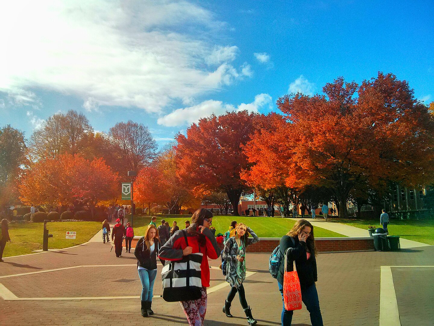 York College of Pennsylvania