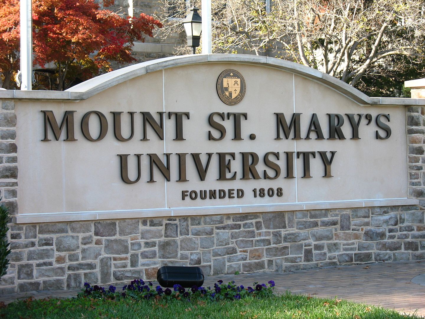 Mount St. Mary's University