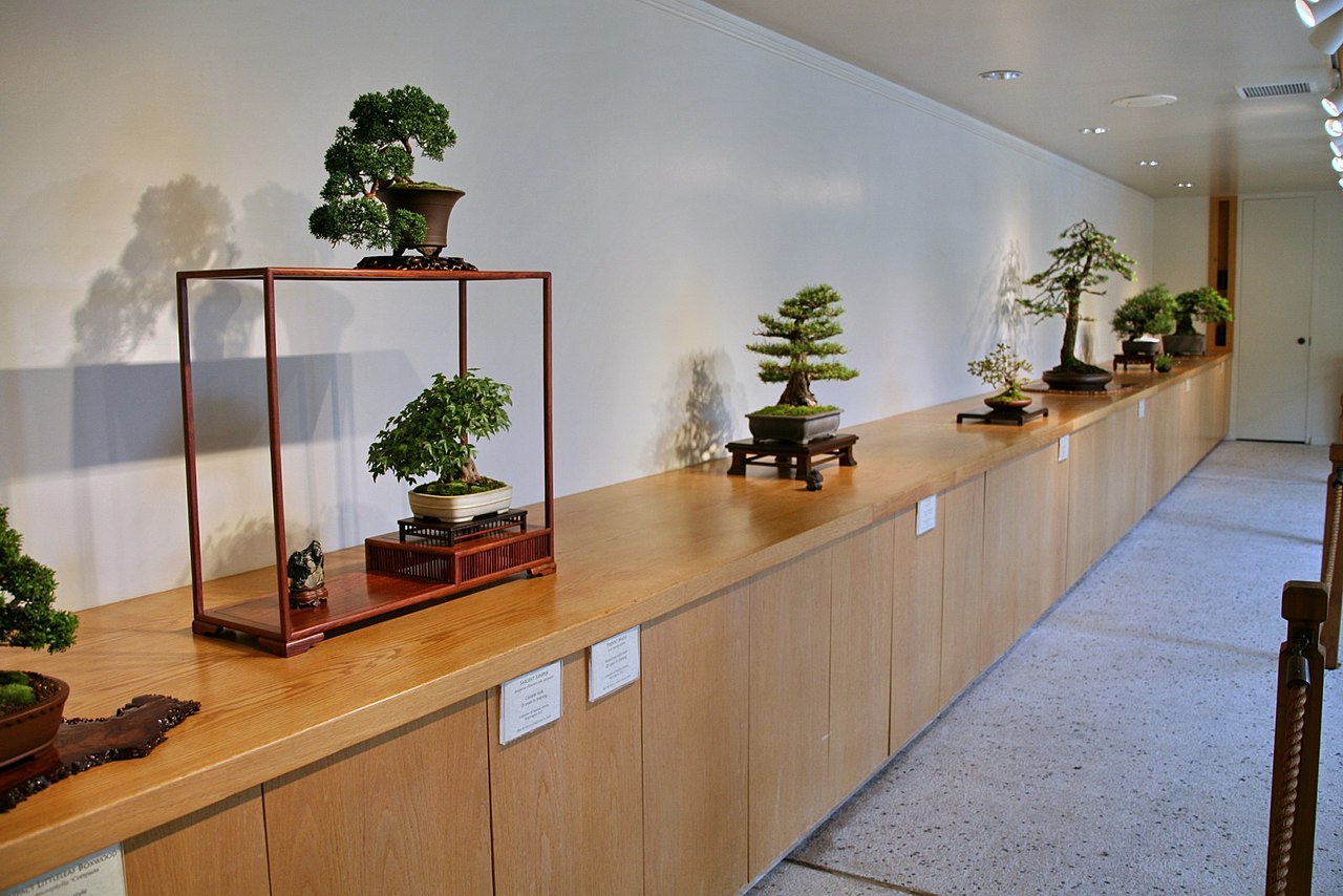 National Bonsai & Penjing Museum Interior
