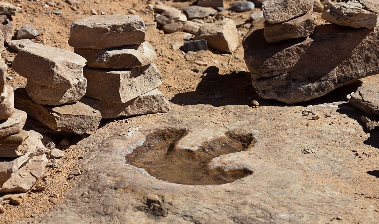 Dinosaur footprint