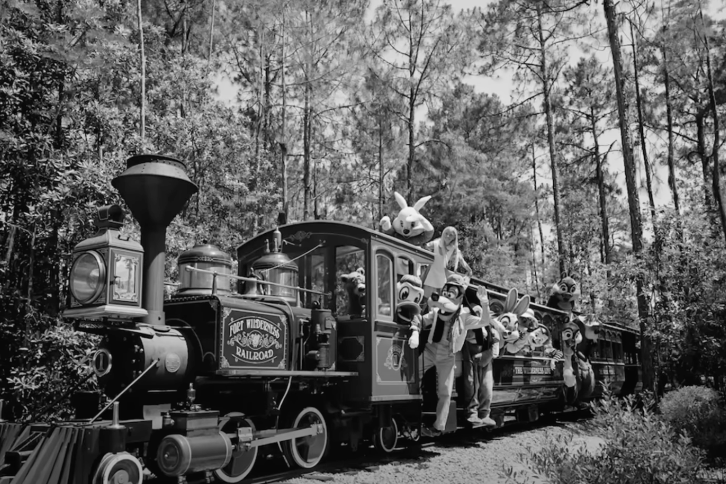 Disney Fort Wilderness Railroad 1