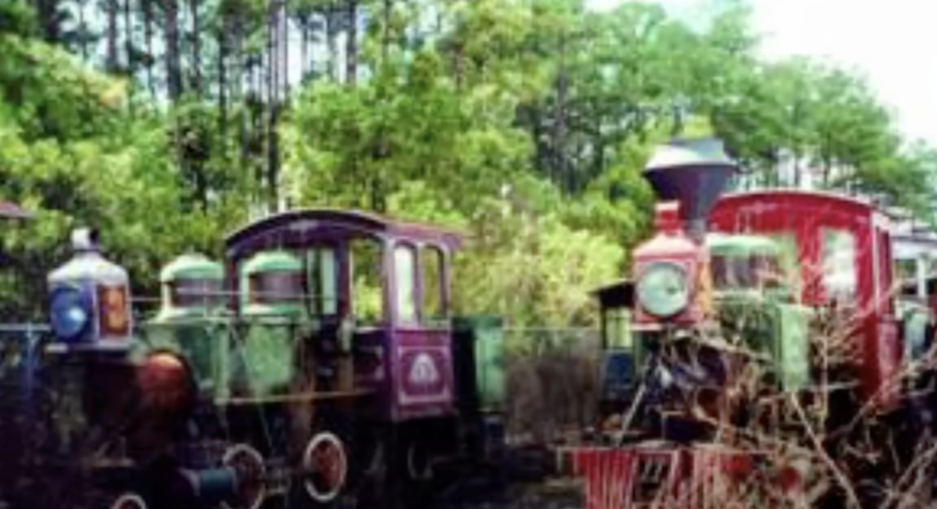 Disney Fort Wilderness Railroad 4