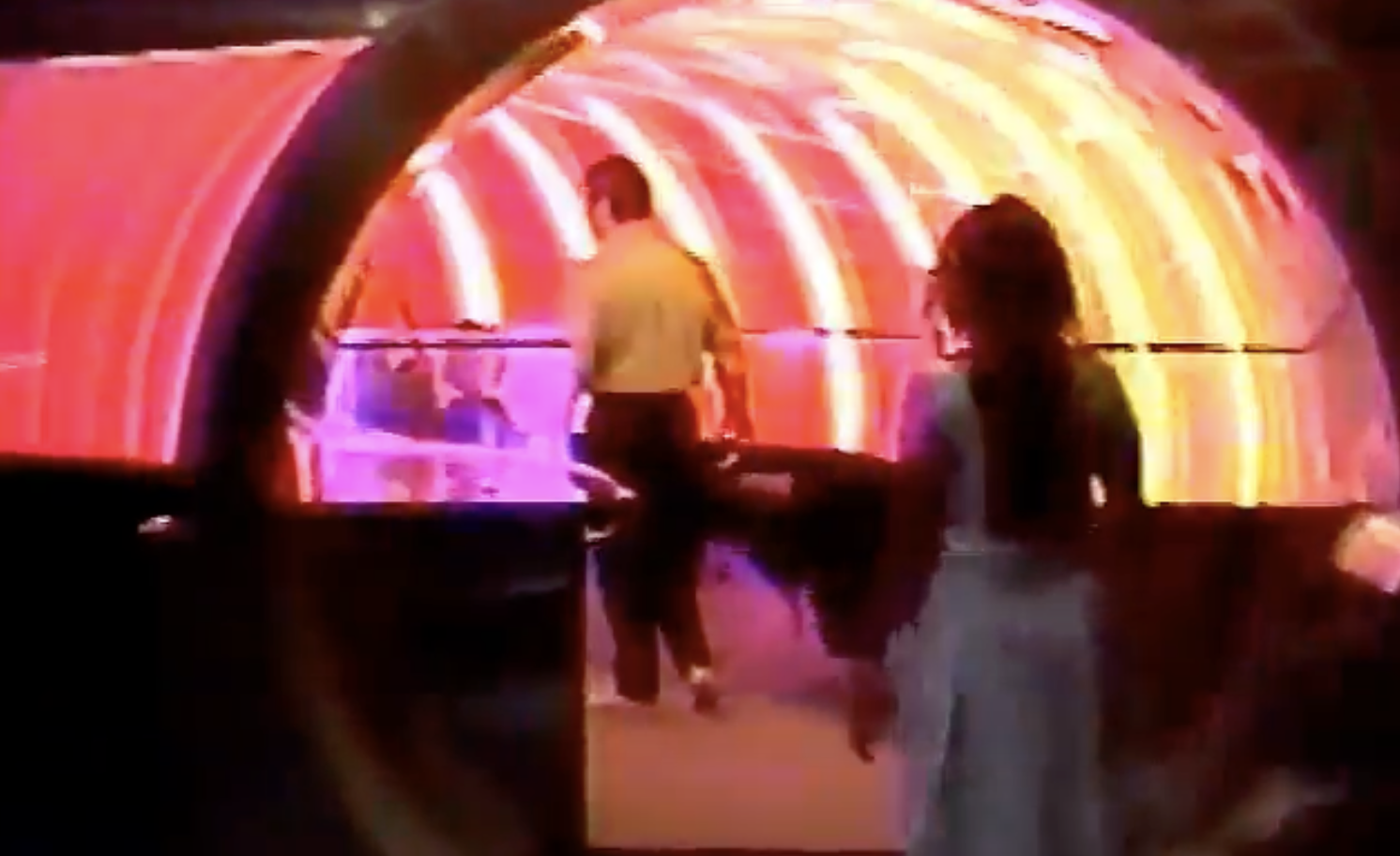 Disney Rainbow Tunnel 1