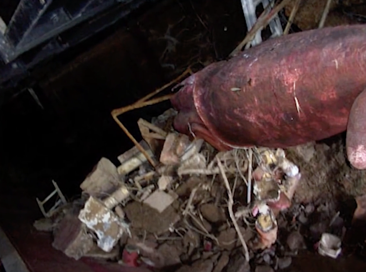 Disney 20000 Leagues 6