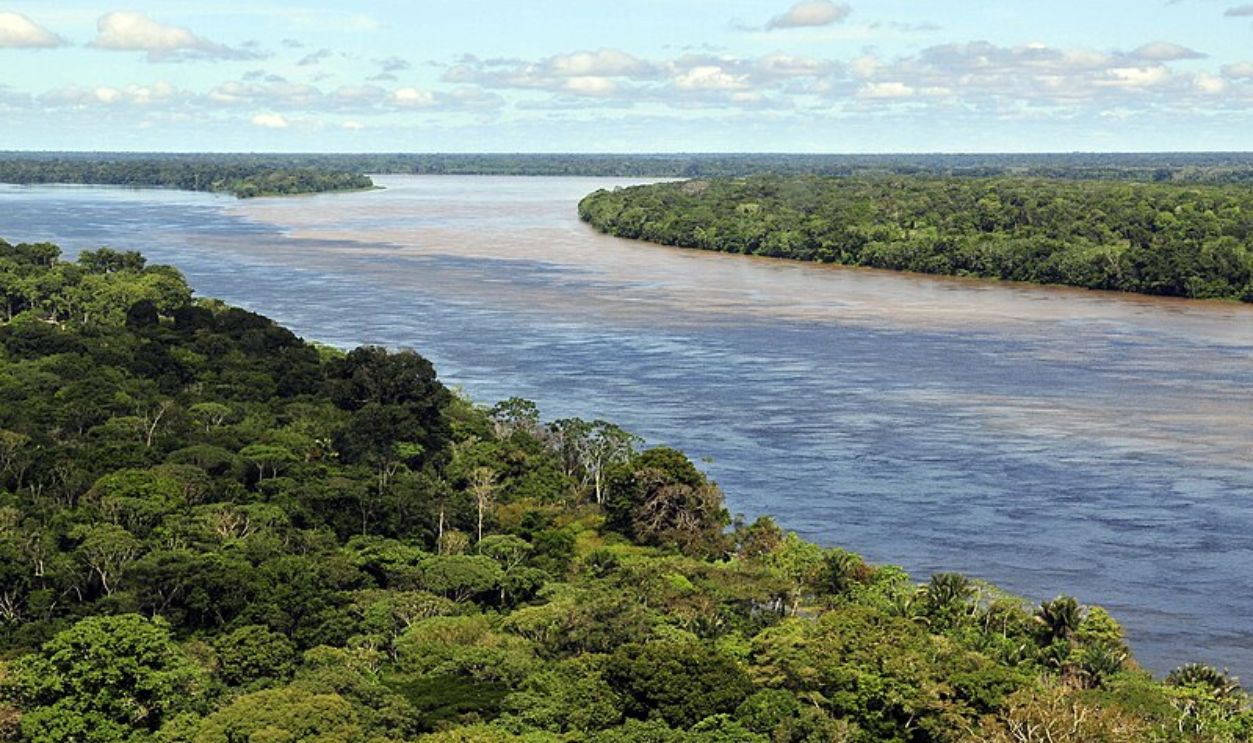 Amazon Rainforest