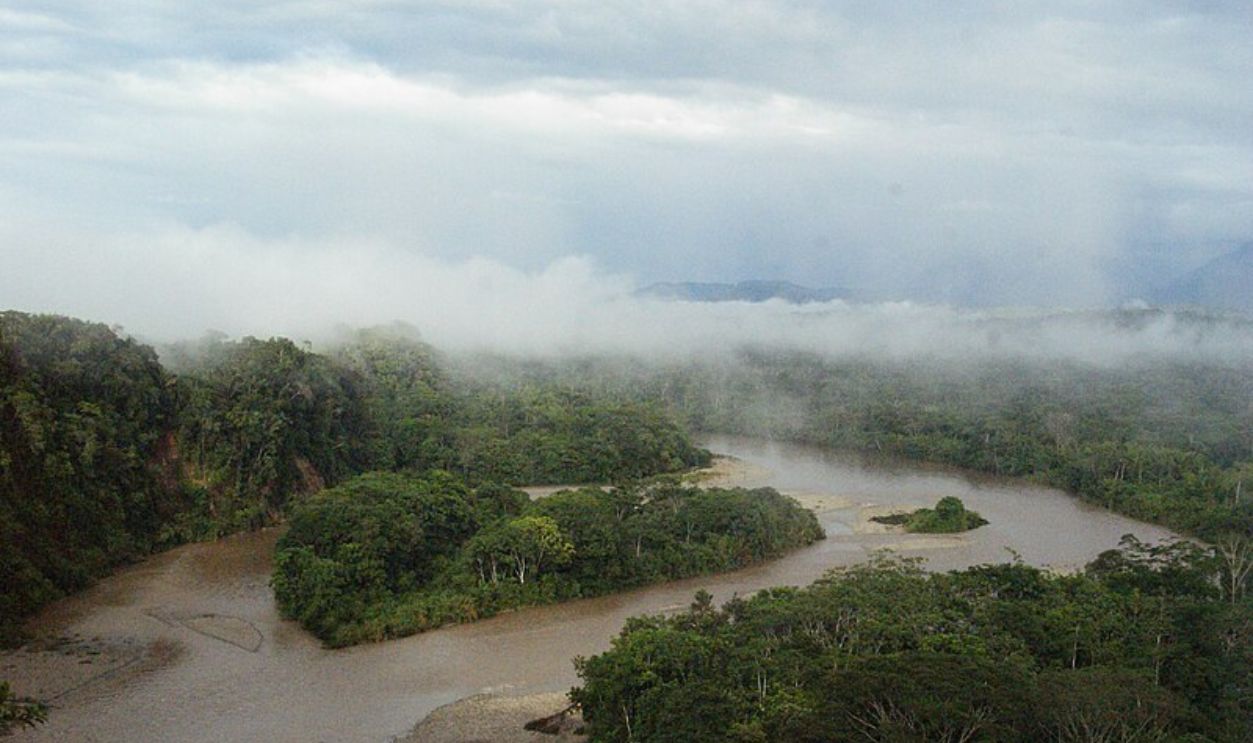 Amazon Rainforest
